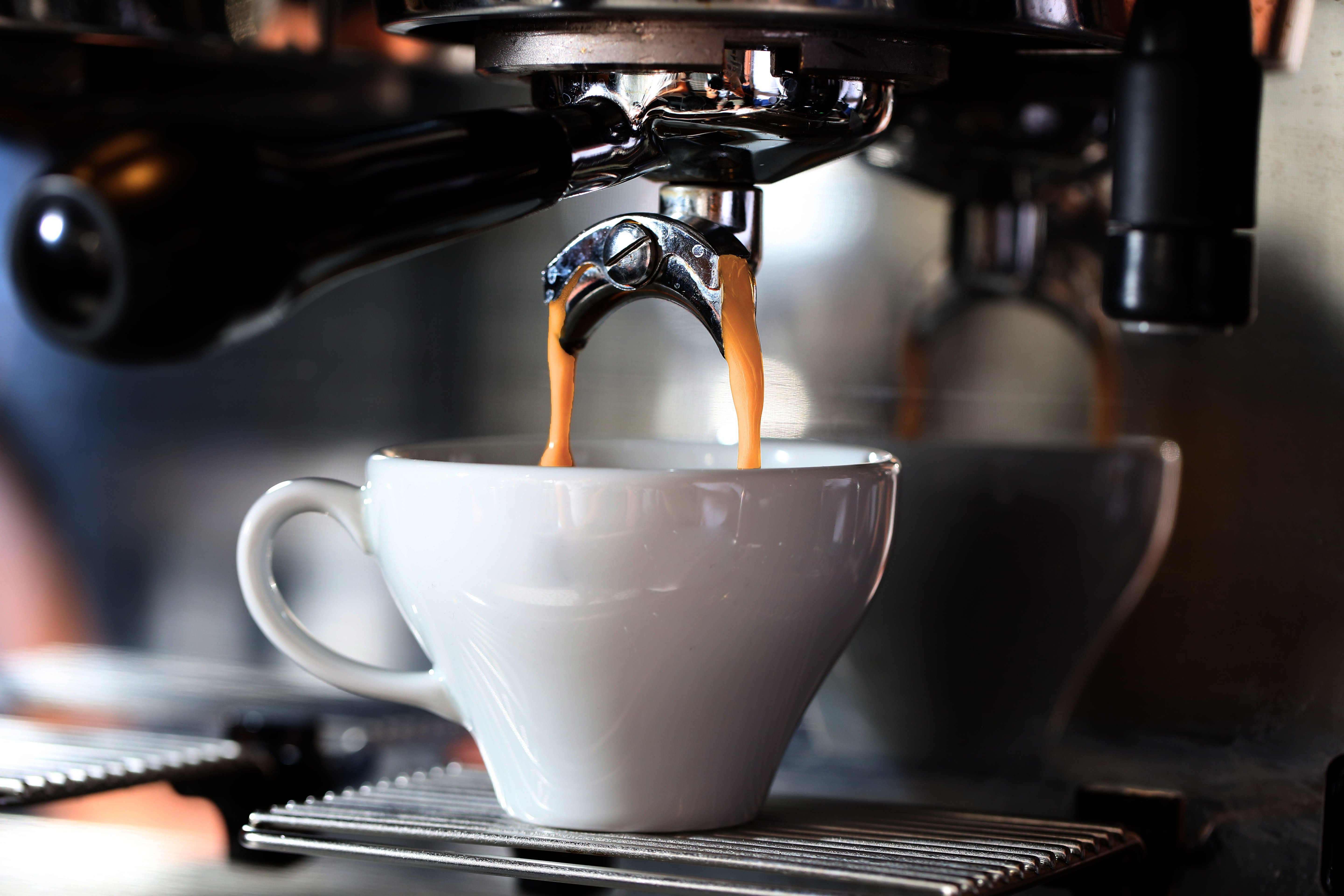 ギャラリー6